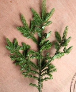 image002