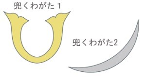 32